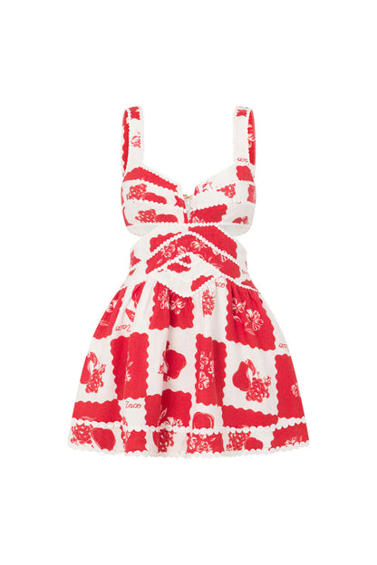 Nashi Mini Jurk